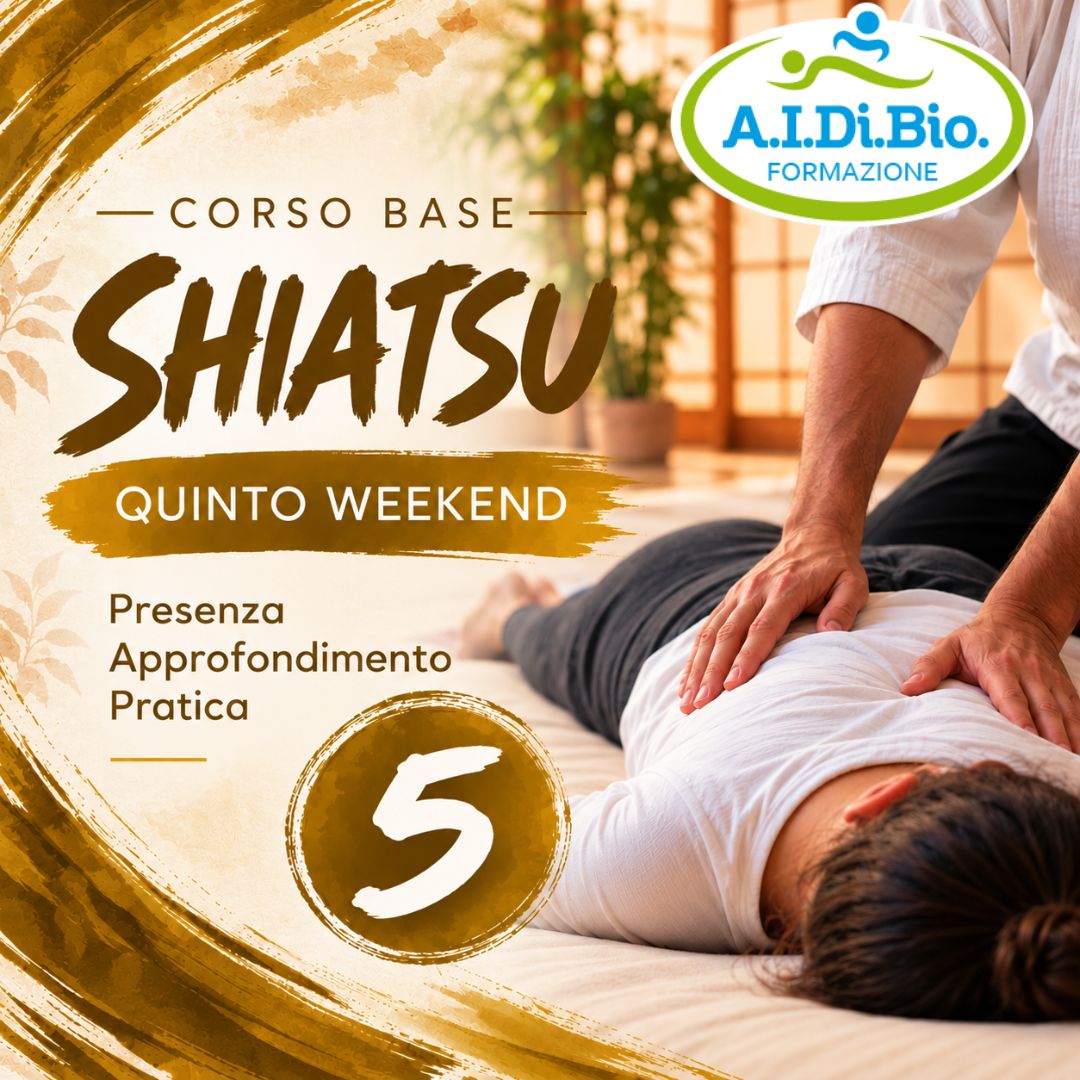 Quinto Weekend Shiatsu Base